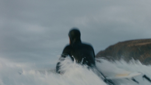 Video Reference: Wave, Wind wave, Surfing, Surfing Equipment, Bird, Sky, Surfboard, Beak, Surface water sports, Water bird