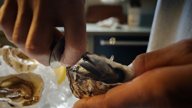 Video Reference: Oyster, Food, Seafood, Bivalve, Dish, Hand, Mussel, Shellfish, Cuisine, Clam