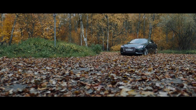 Video Reference: Land vehicle, Vehicle, Car, Leaf, Off-roading, Autumn, Road, Sport utility vehicle, Crossover suv, Mini SUV