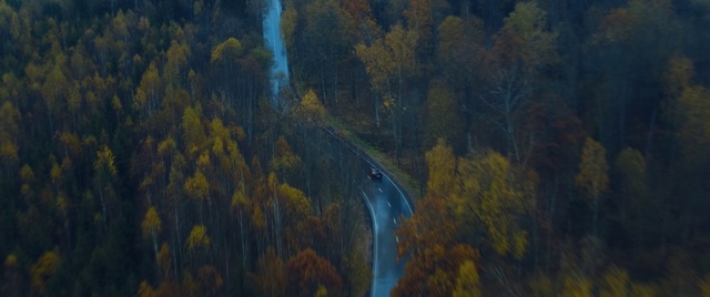 Video Reference: Nature, Painting, Sky, Atmospheric phenomenon, Atmosphere, Yellow, Tree, Art, Biome, Leaf