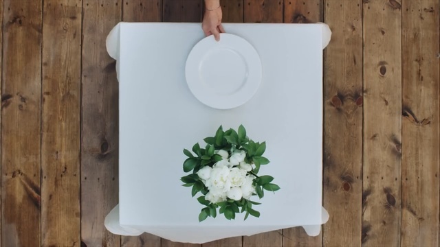 Video Reference: dishware, tableware, flowerpot, flower, plate, porcelain, floral design, vase, ceramic, Person