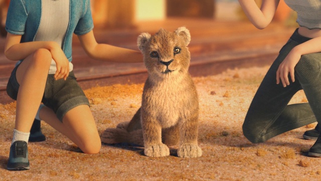 Video Reference: Mammal, Vertebrate, Felidae, Wildlife, Lion, Carnivore, Big cats, Terrestrial animal, Adaptation, Fawn