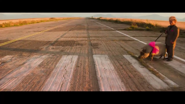 Video Reference: Floor, Asphalt, Wood, Road surface, Hardwood, Flooring, Sporting Group, Wood stain, Road, Longboard, Person