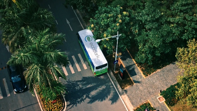 Video Reference: Tree, Landscape, Plant, Vehicle