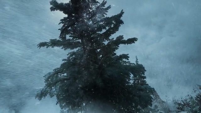 Video Reference: tree, sky, woody plant, ecosystem, cloud, vegetation, atmosphere, winter, pine family, frost