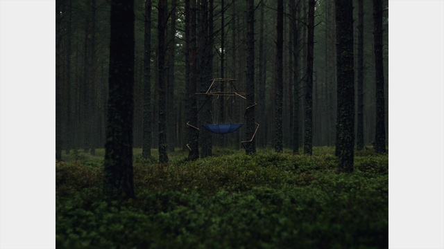 Video Reference: Forest, Tree, Nature, Natural environment, Woodland, Spruce-fir forest, Green, Tropical and subtropical coniferous forests, Biome, Northern hardwood forest