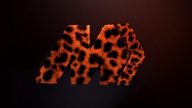 Video Reference: Font, Organism, Paw, Fur