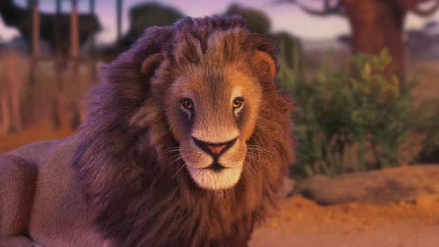 Video Reference: Lion, Vertebrate, Mammal, Wildlife, Hair, Felidae, Masai lion, Terrestrial animal, Big cats, Carnivore