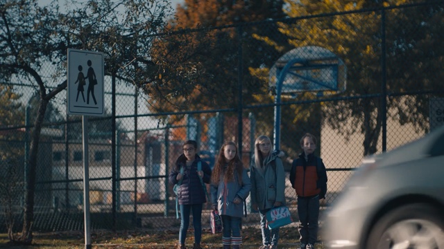 Video Reference: Motor vehicle, Car, Vehicle, Tree, Person