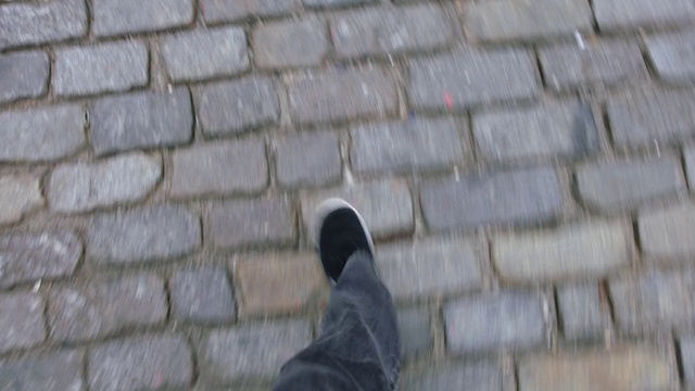 Video Reference: Wall, Brickwork, Footwear, Brick, Shoe, Cobblestone, Roof, Flooring, Cat, Sitting, Building, Black, Man, Wooden, Bench, Bird, Gray, Standing, Head, Dog, Walking, Computer, White, Street, Blurry, Perched, Jeans, Trousers