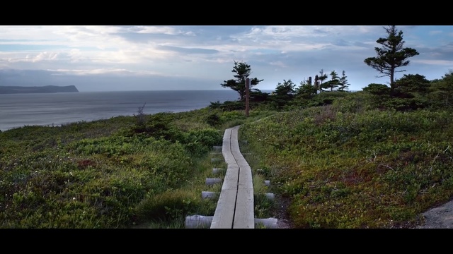 Video Reference: nature, sky, coast, tree, sea, wilderness, horizon, cloud, promontory, shore