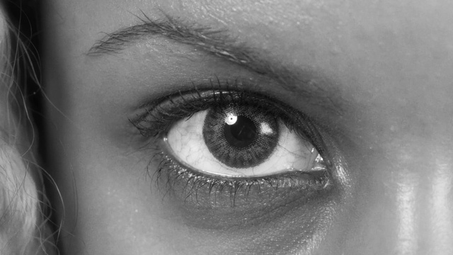 Video Reference: Eyebrow, Eye, Face, Eyelash, Iris, Close-up, Organ, Skin, Nose, Head