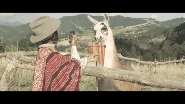 Video Reference: screenshot, pack animal, tree, llama, livestock, goats, sky, stock photography