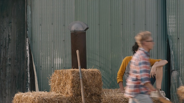 Video Reference: Straw, Hay, Grass, Wood, Plant
