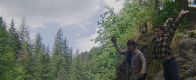 Video Reference: tree, mountainous landforms, wilderness, woody plant, mountain, forest, plant, hill station, sky, terrain