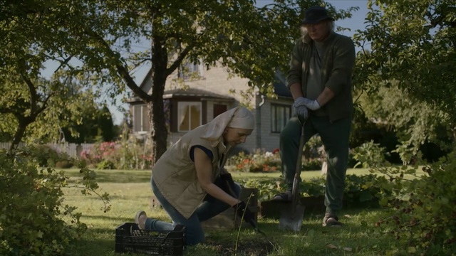 Video Reference: Lawn, Gardener, Grass, Tree, Adaptation, Branch, Photography, Yard, Plant, Soil