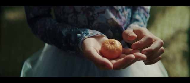Video Reference: Hand, Finger, Arm, Food, Thumb, Photography, Still life photography, Child, Person, Indoor, Man, Small, Sitting, Table, Holding, White, Plate, Fruit, Cake, Sandwich, Apple, Orange