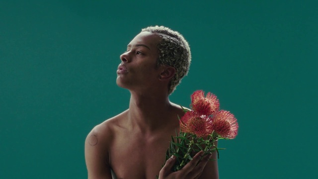 Video Reference: Green, Beauty, Shoulder, Fun, Blond, Flower, Plant, Organism, Human, Joint