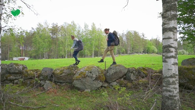 Video Reference: Tree, Grass, Rock, Landscape, Photography, Land lot, Plant, Recreation, Play, Leisure