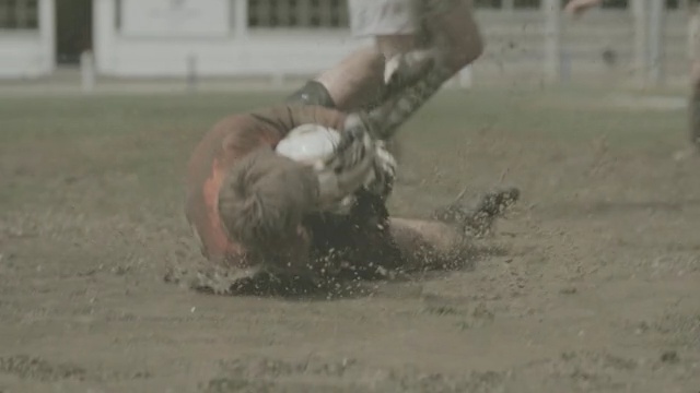 Video Reference: mud, soil, traditional sport, grass, material, animal sports, sand