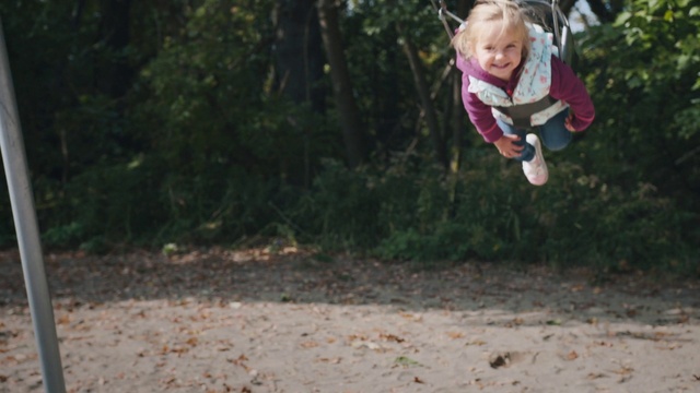 Video Reference: Swing, Natural environment, Leaf, Outdoor play equipment, Fun, Tree, Woodland, Soil, Forest, Child