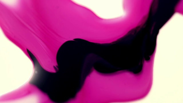 Video Reference: Pink, Red, Purple, Magenta, Violet, Close-up, Petal, Lip, Material property, Plant
