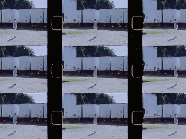 Video Reference: Tree, Iron, Line, Woody plant, Fence, Material property, Metal, Plant, Architecture, Winter