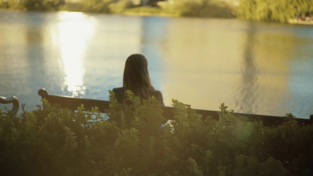 Video Reference: Photograph, Sunlight, Green, Light, Reflection, Morning, Backlighting, Snapshot, Water, Grass