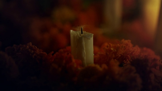 Video Reference: Brown, Lighting, Still life photography, Sky, Atmosphere, Photography, Candle, Darkness, Flame, Macro photography