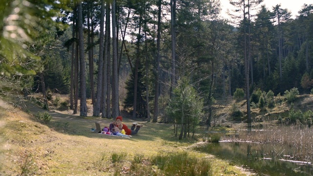 Video Reference: Wilderness, Nature, Nature reserve, Forest, Natural environment, Tree, Vegetation, Biome, Natural landscape, Plant community, Person