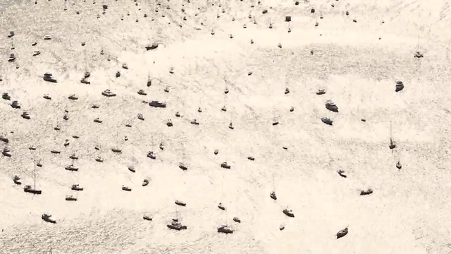 Video Reference: White