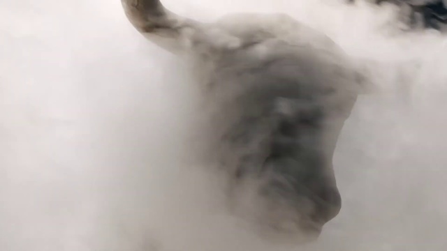 Video Reference: Smoke, Snout, Black-and-white, Drawing, Ear, Art