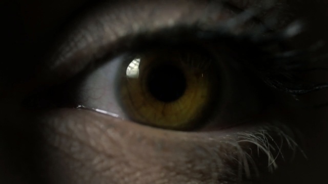Video Reference: face, eye, black, eyebrow, eyelash, nose, macro photography, close up, iris, organ