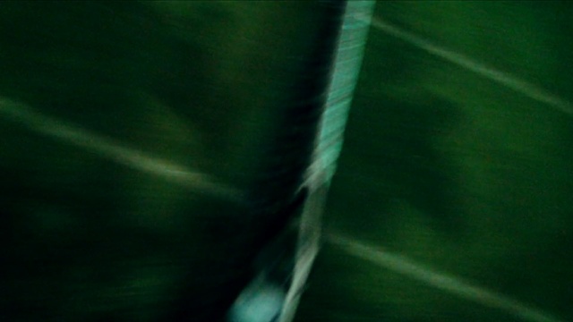 Video Reference: Green, Leaf, Water, Macro photography, Close-up, Grass, Plant, Banana leaf, Photography, Plant stem