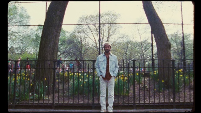 Video Reference: Photograph, Tree, Snapshot, Standing, Spring, Iron, Photography, Fun, Fence, Outerwear