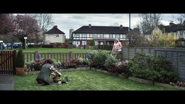 Video Reference: lawn, plant, yard, house, grass, home, residential area, backyard, property, garden