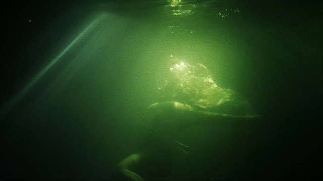 Video Reference: Green, Water, Light, Underwater, Sky, Organism, Sunlight, Darkness, Photography, Sea