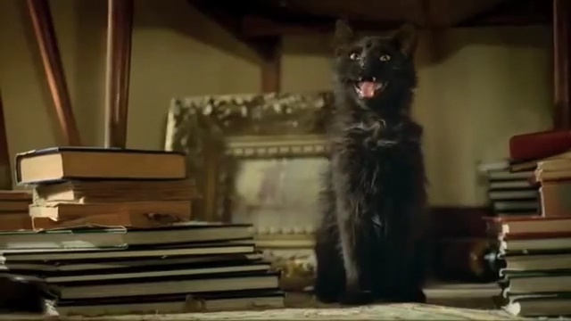 Video Reference: Cat, Felidae, Snapshot, Whiskers, Black cat, Room, Kitten, Photography, Small to medium-sized cats, Fictional character