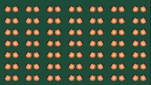 Video Reference: Orange, Font, Text, Pattern, Design