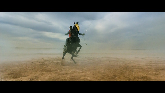 Video Reference: ecosystem, sky, horse, steppe, horse like mammal, cloud, grassland, ecoregion, pack animal, atmosphere