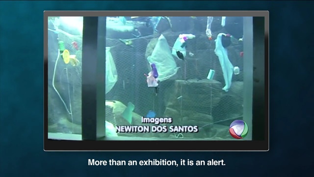 Video Reference: Screen, Display device, Organism, Technology, Multimedia, Electronic device, Adaptation, Television set, Media, Television