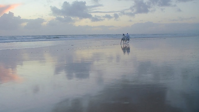Video Reference: Sky, Ocean, Sea, Water, Reflection, Shore, Horizon, Cloud, Calm, Coast