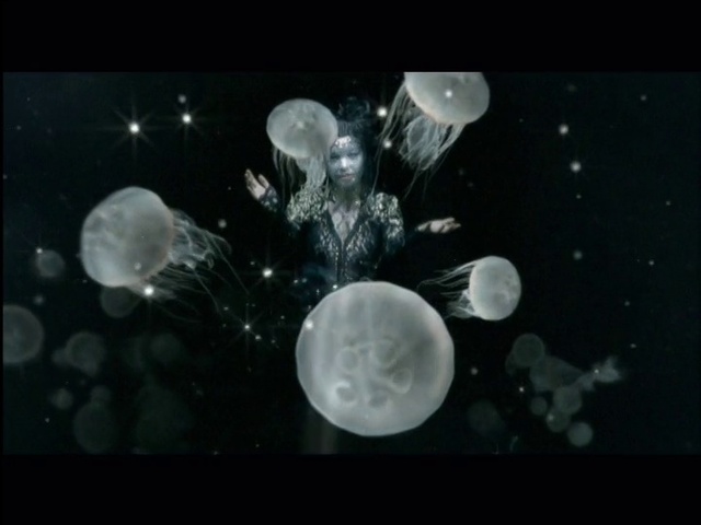Video Reference: Jellyfish, Cnidaria, Organism, Marine invertebrates, Lighting, Marine biology, Space, Darkness, Invertebrate, Black-and-white, Person