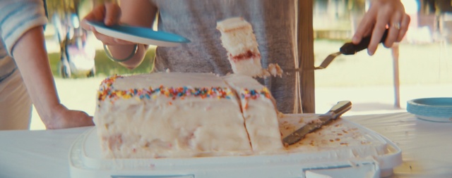 Video Reference: dessert, cake, cake decorating, sweetness, icing, buttercream, baking, torte, dairy product, food, Person