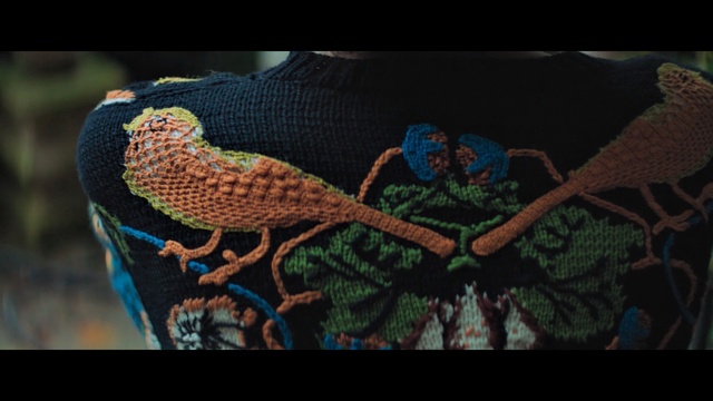 Video Reference: fauna, beak, organism, screenshot, wildlife, darkness, bird