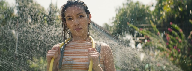 Video Reference: grass, tree, plant, grass family, girl, temple, sunlight, fun, agriculture, Person