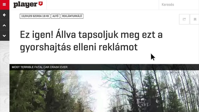 Video Reference: Text, Tree, Adaptation, Font, Organism, Plant, Wildlife, Forest