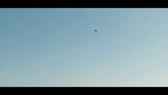 Video Reference: Sky, Atmosphere, Horizon, Cloud, Wing, Wind, Air sports