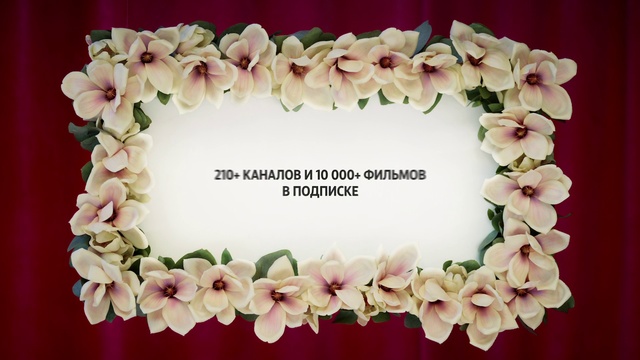 Video Reference: Petal, Lei, Flower, Wreath, Plant, Hydrangea