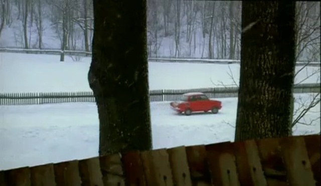 Video Reference: Snow, Winter, Winter storm, Vehicle, Mode of transport, Tree, Freezing, Blizzard, Wood, Automotive exterior